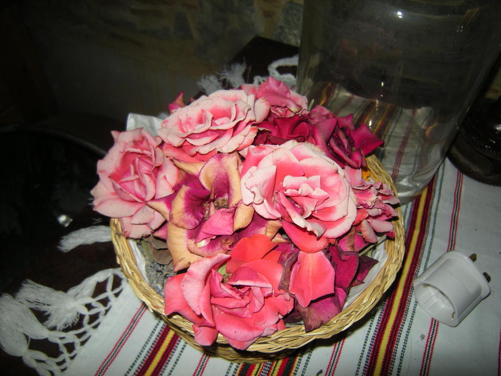 Lasmari'S Bouquet Sykopetra Стая снимка